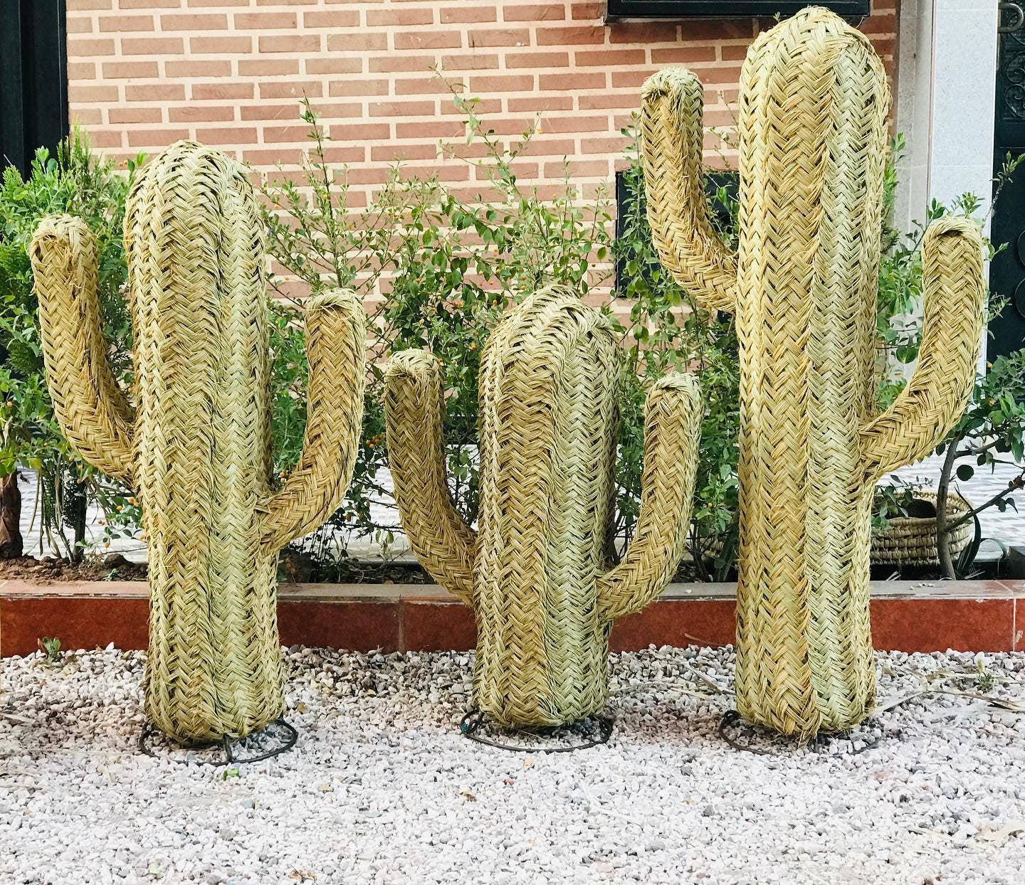 Handwoven Braided Fiber Cactus Decorative Sculpture
