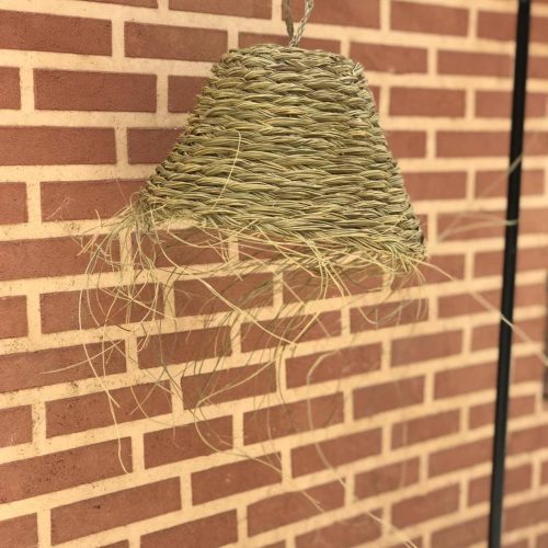 Moroccan Palm Leaf Suspension: Elegance